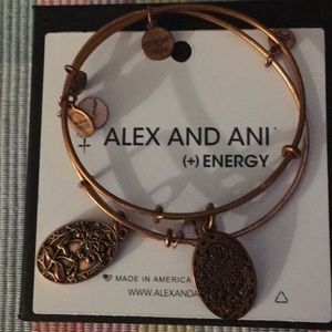 Alex and ani tarnish rose gold bangle